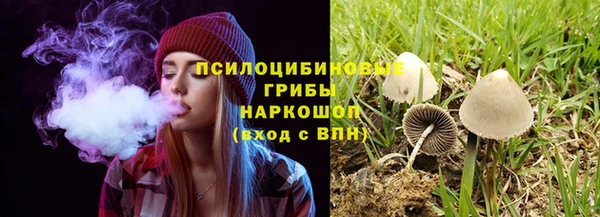 соль ск Бородино
